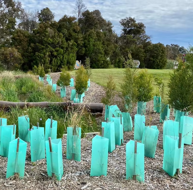 Forestry & Tree Plantation Protection