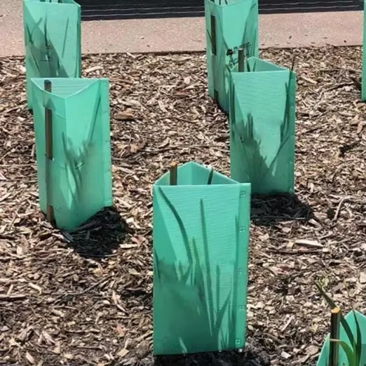 Landscaping & Garden Projects