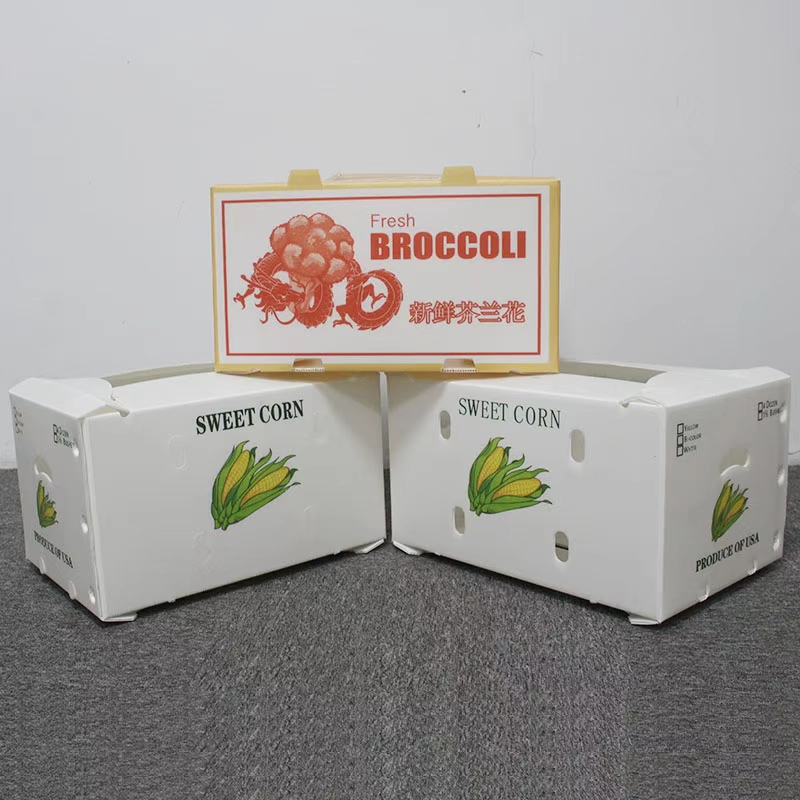Corrugated Plastic Box