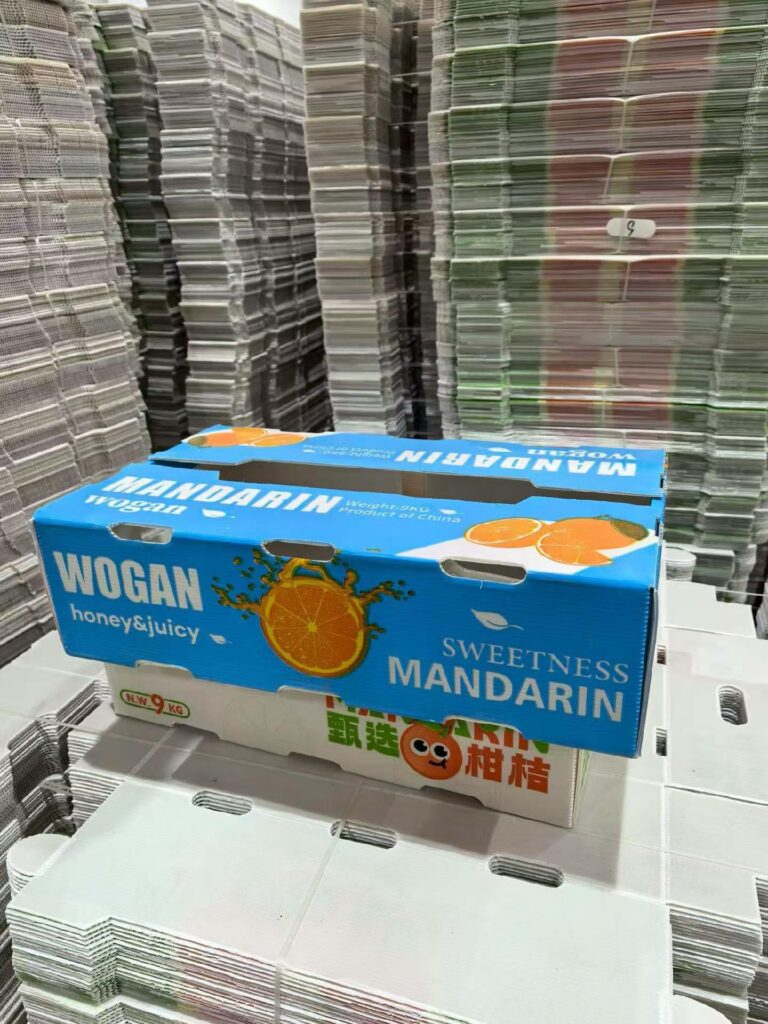 Reusable Corrugated Plastic Boxes for Logistics