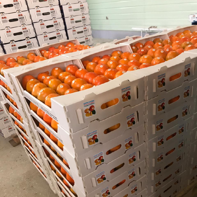 Fruit & Vegetable Transportation