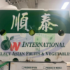 plastic boxes for vegetables