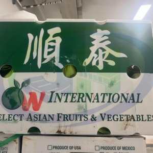 plastic boxes for vegetables